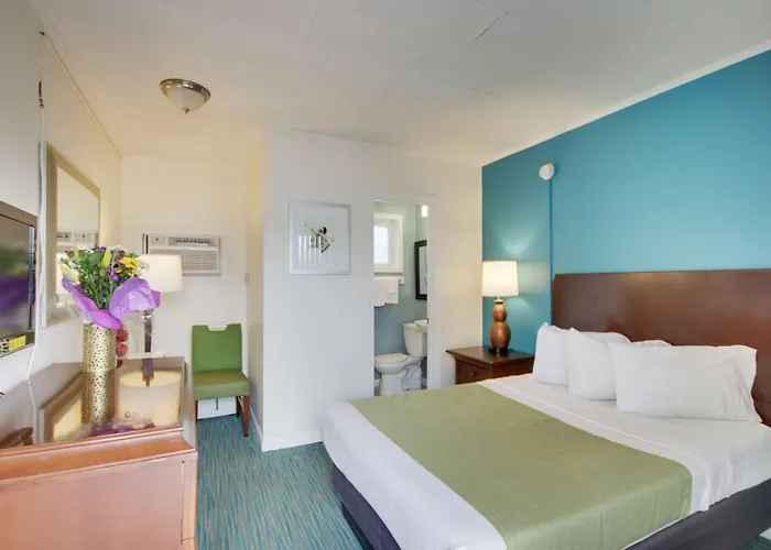 Motel White Marlin