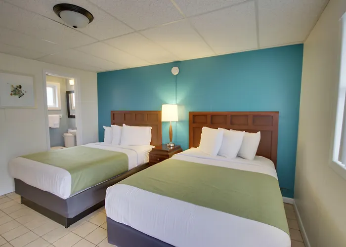 Motel White Marlin 2*