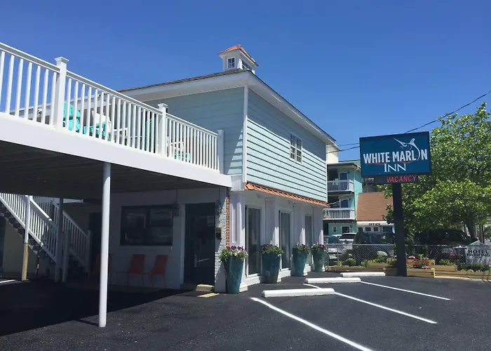 White Marlin Motel Ocean City