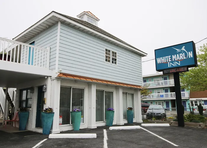 White Marlin 2* Ocean City