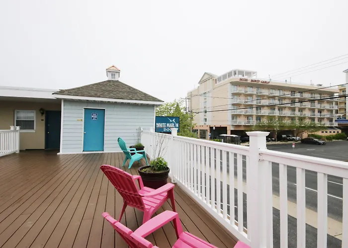 Motel White Marlin