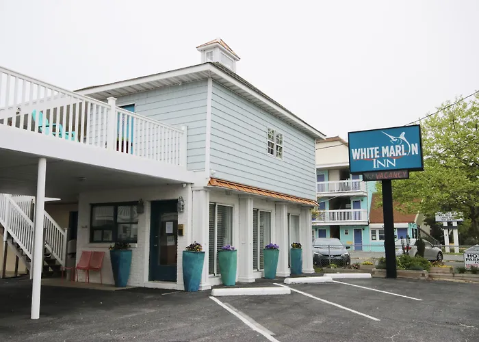 White Marlin Motel 2*