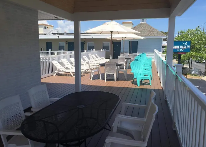 White Marlin Ocean City